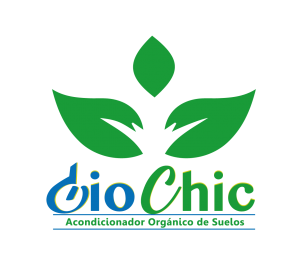 LOGO GIOCHIC